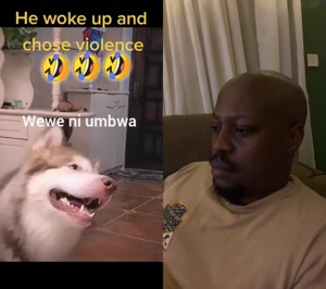...