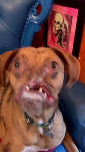 ...
